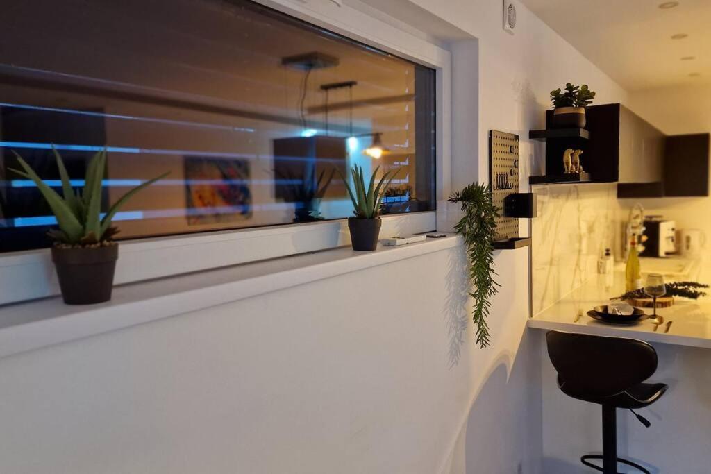 Suite Prestige Logement Neuf Avec Spa Et Ecran De Cinema En Rez De Jardin Colmar Exterior foto