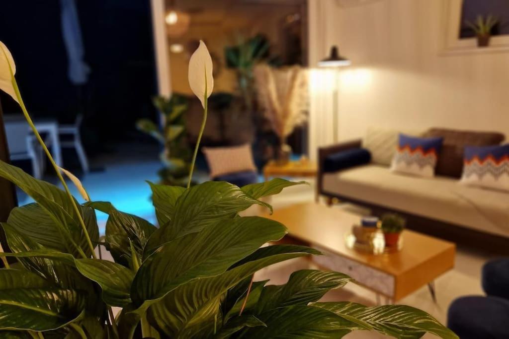 Suite Prestige Logement Neuf Avec Spa Et Ecran De Cinema En Rez De Jardin Colmar Exterior foto