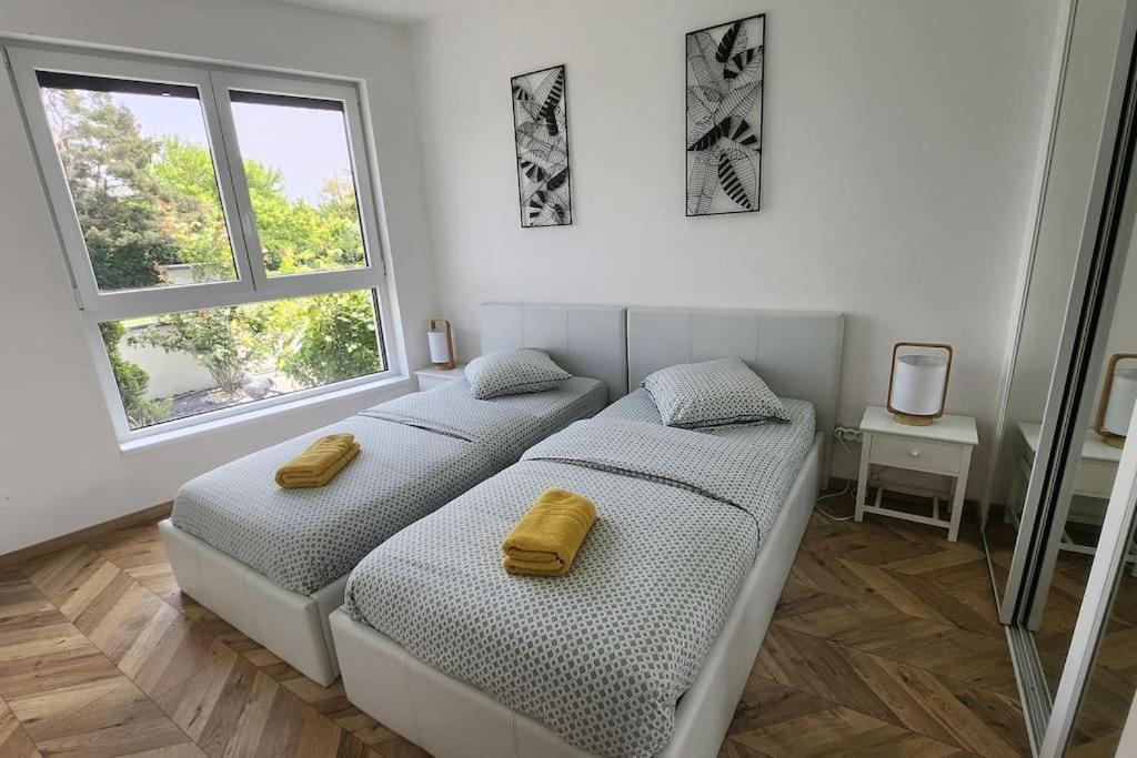 Suite Prestige Logement Neuf Avec Spa Et Ecran De Cinema En Rez De Jardin Colmar Exterior foto